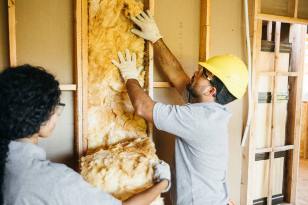 Best Attic Insulation Installation  in Pocono Springs, PA